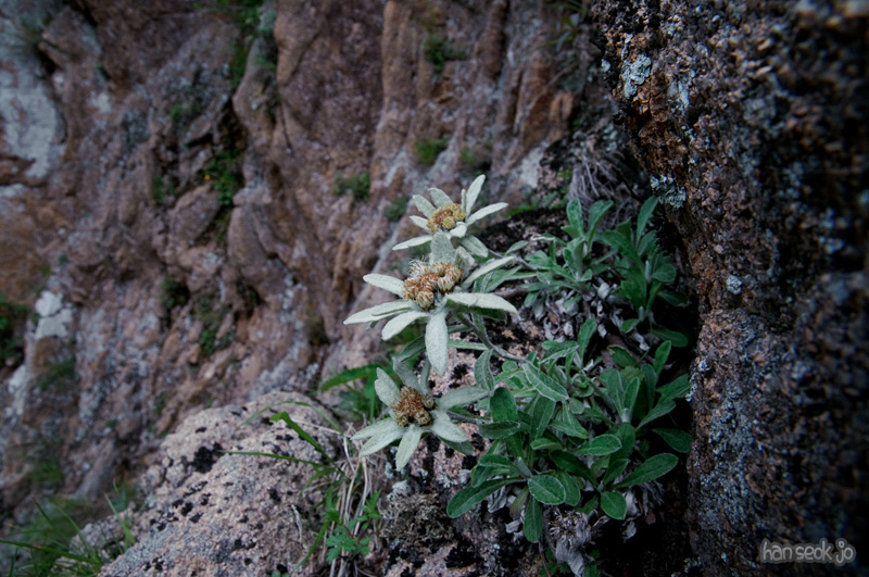 DSC_2187.jpg