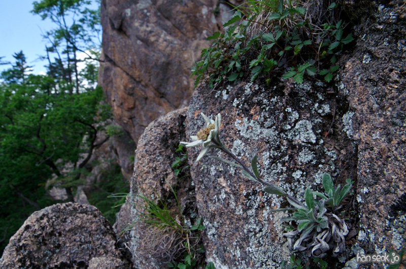 DSC_2189.jpg