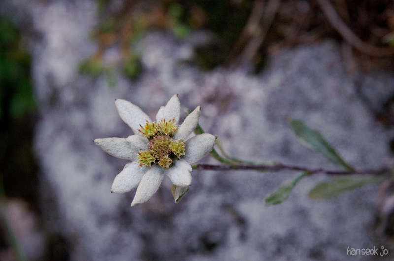 DSC_2384.jpg