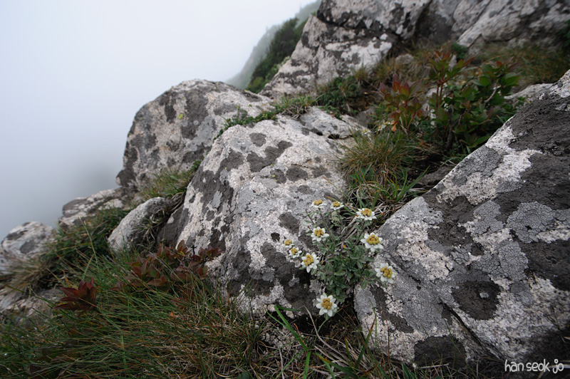 HSJ_3643.jpg