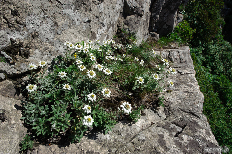HSJ_9328.jpg