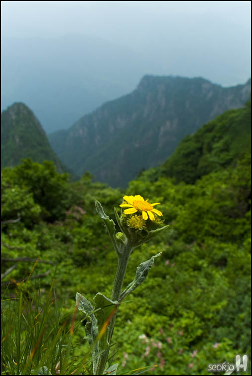 DSCF1870.jpg