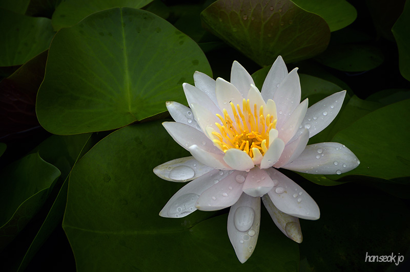 DSC_3574.jpg