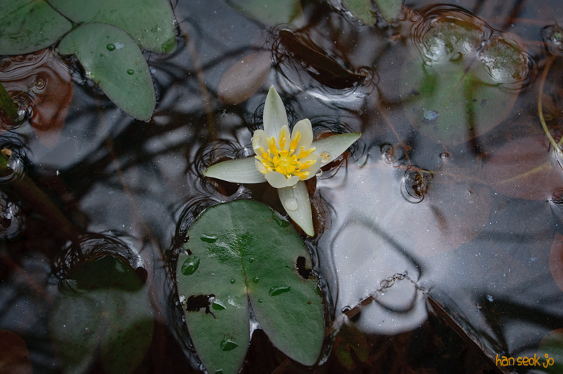 DSC_7673.jpg