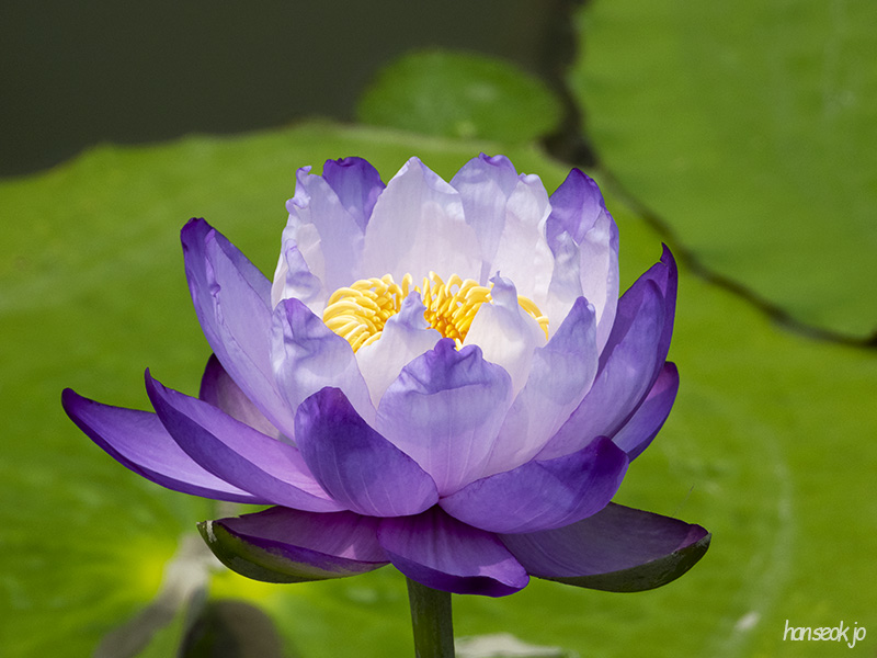 DSCN1147.jpg