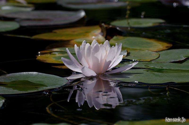 DSC_3838.jpg