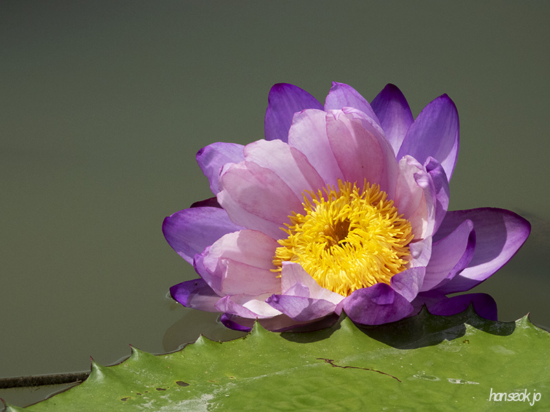 DSCN1220.jpg
