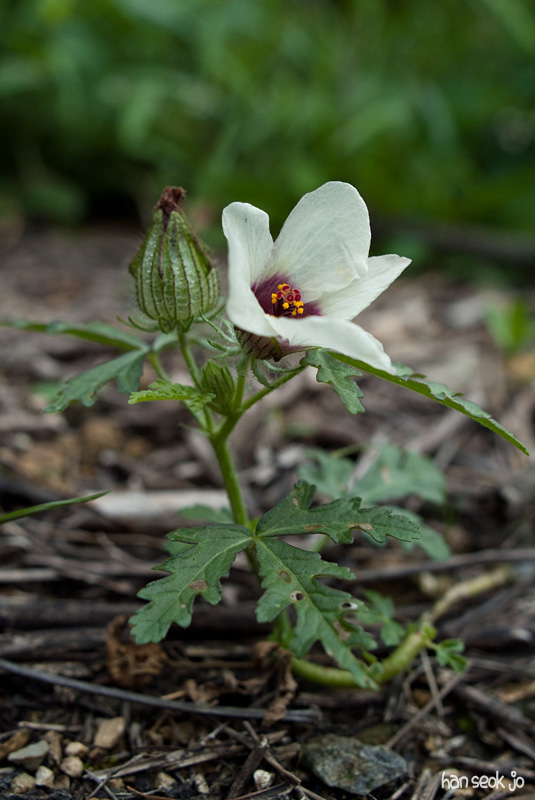 DSCF9168.jpg