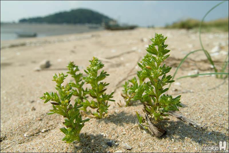 DSCF5647.jpg