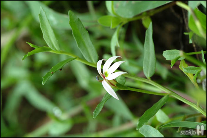 DSCF1005.jpg