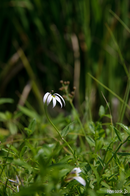 DSC_3482.jpg