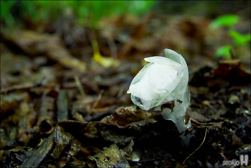 DSCF4055.jpg