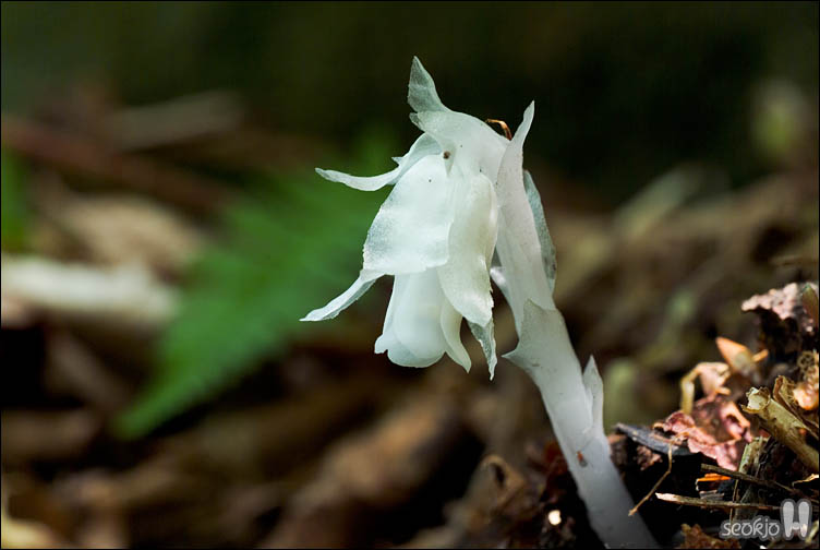 DSCF9541.jpg