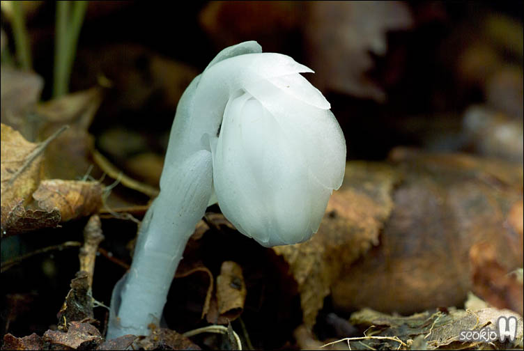 DSCF9535.jpg