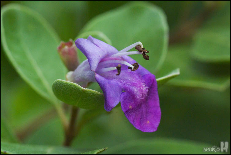 DSCF1894.jpg