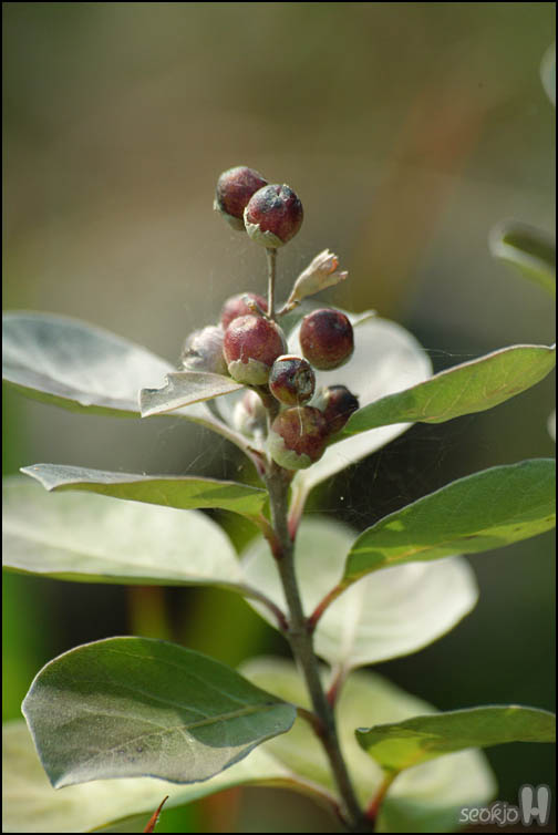 DSCF2972.jpg