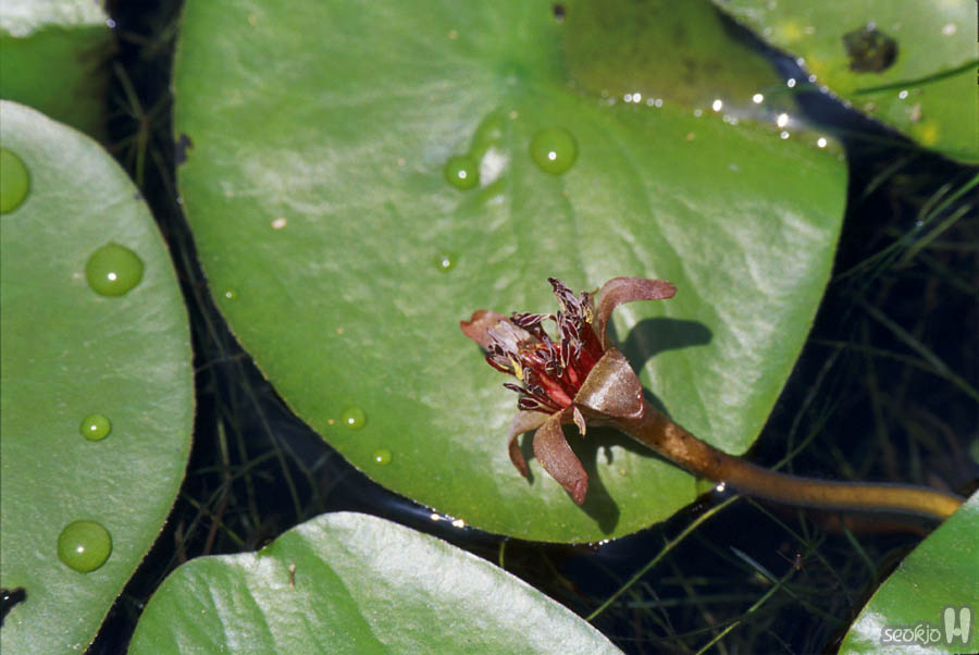 0706025e.jpg