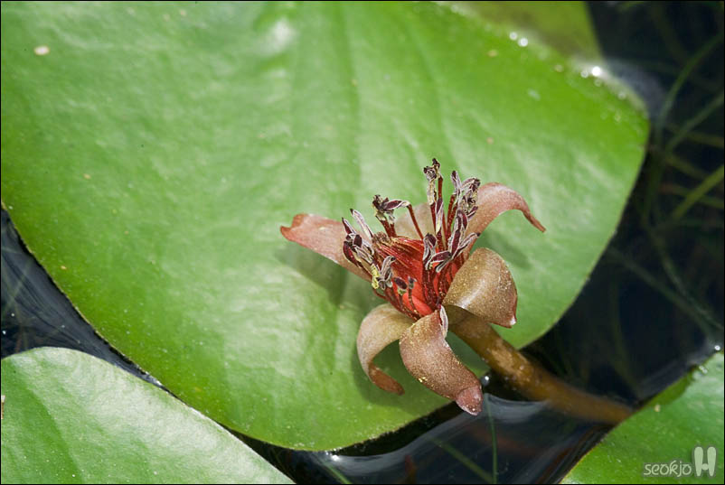 DSCF4177.jpg