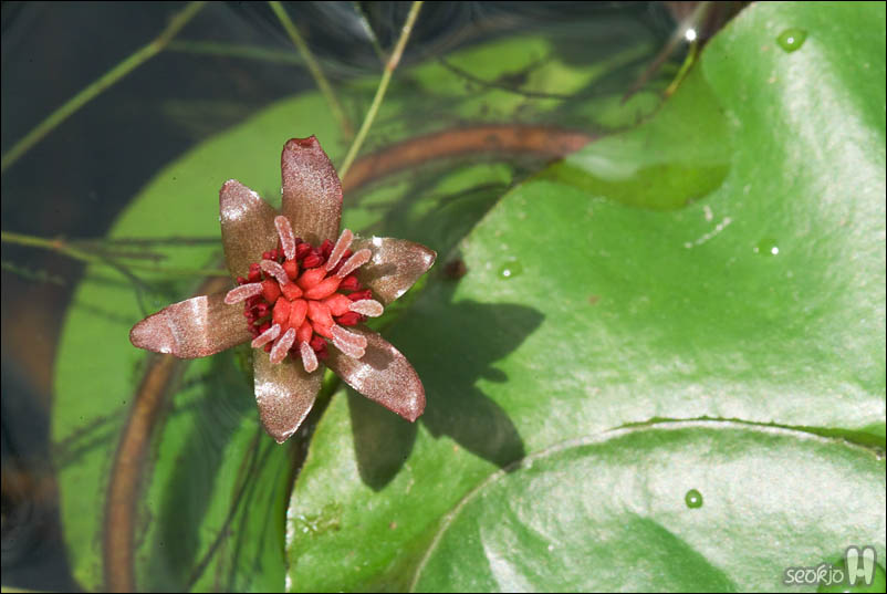 DSCF4192.jpg