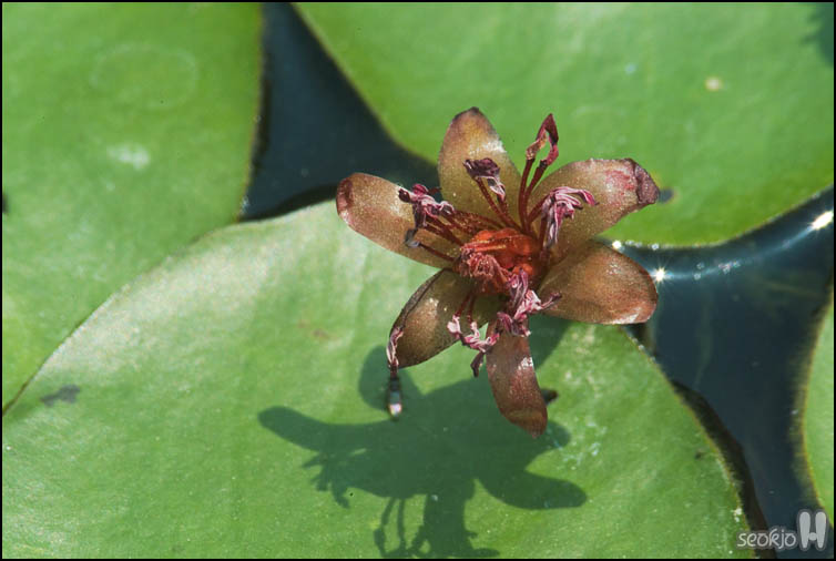 DSCF1713.jpg