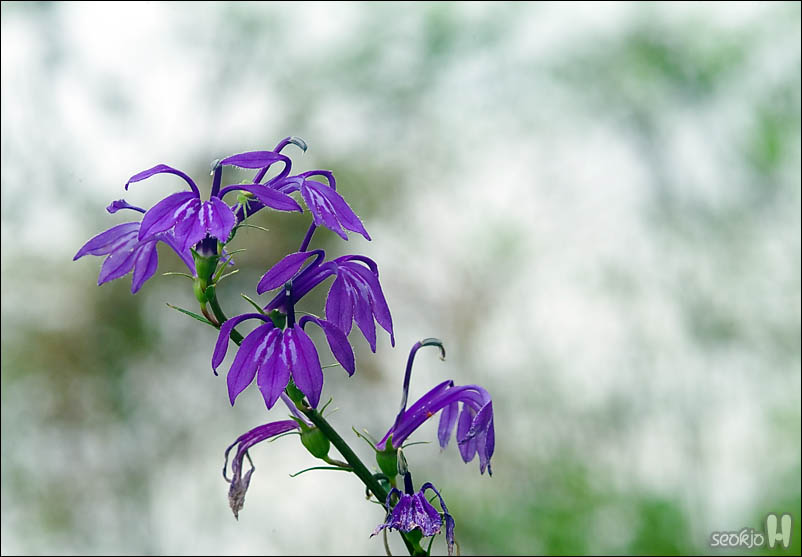 DSCF5592.jpg
