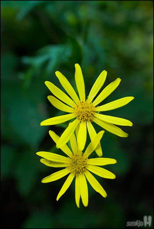 DSCF3919.jpg