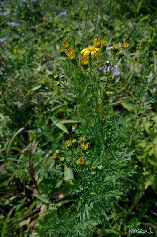 DSC_3789.jpg