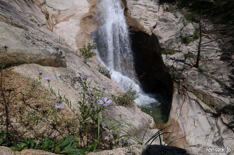 DSC_8330.jpg
