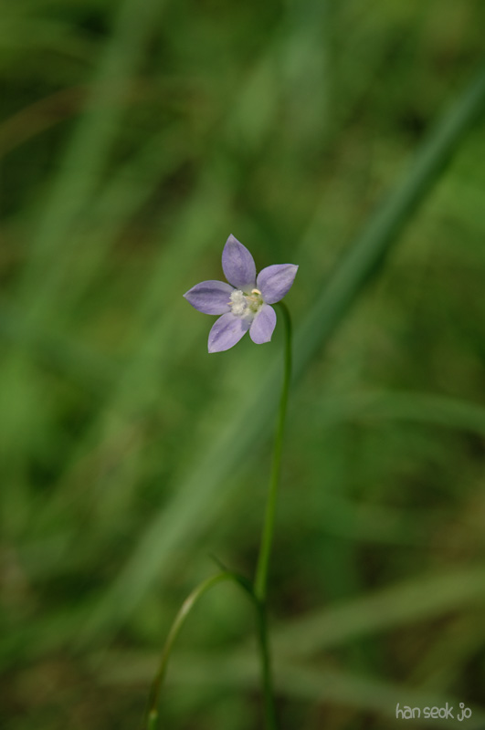 DSC_3126.jpg