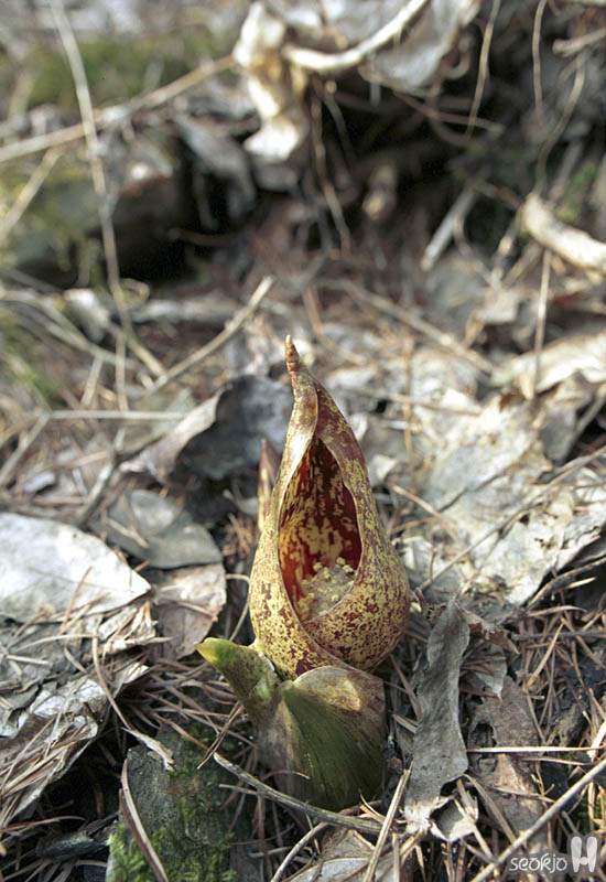 070315e.jpg