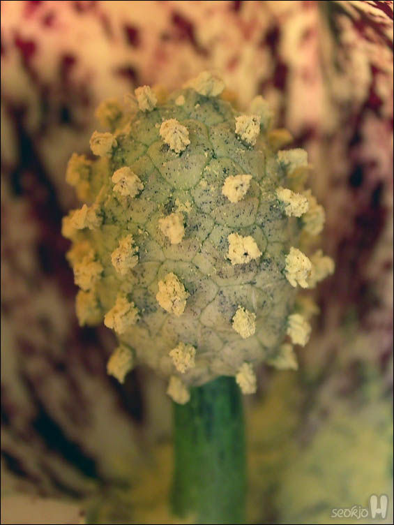 DSCN0535.jpg