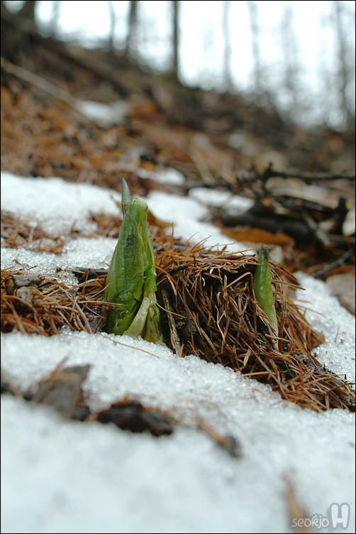 DSCF6025.jpg