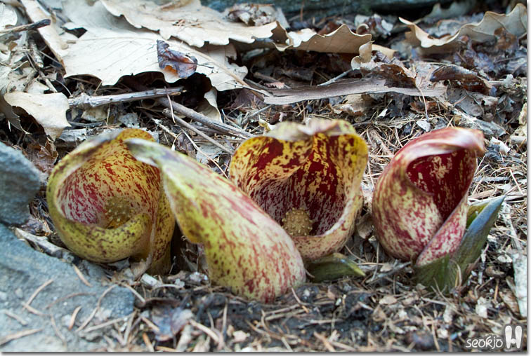 DSCF6228.jpg
