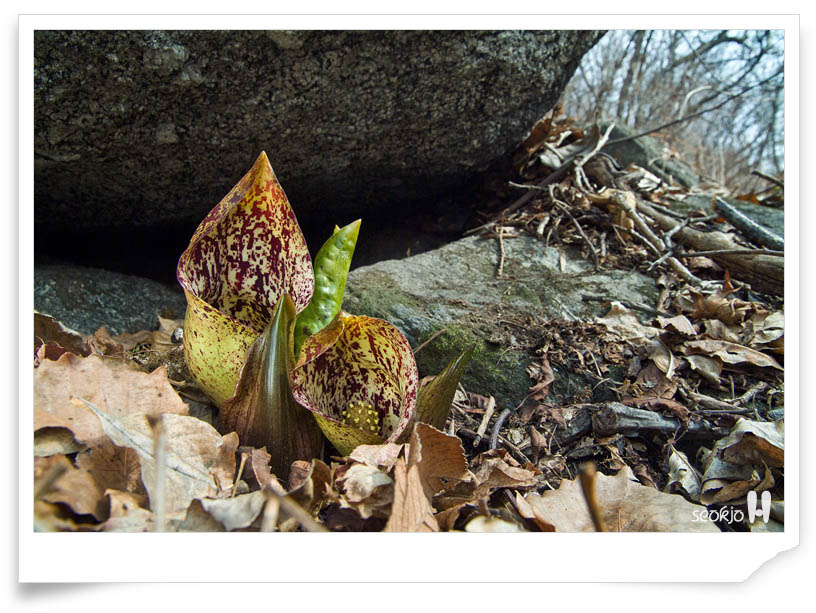DSCF7050.jpg