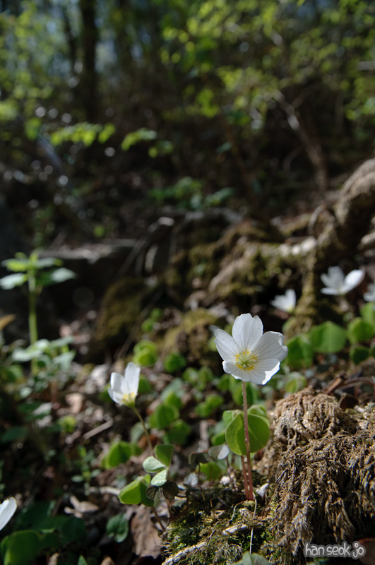 DSC_6325.jpg