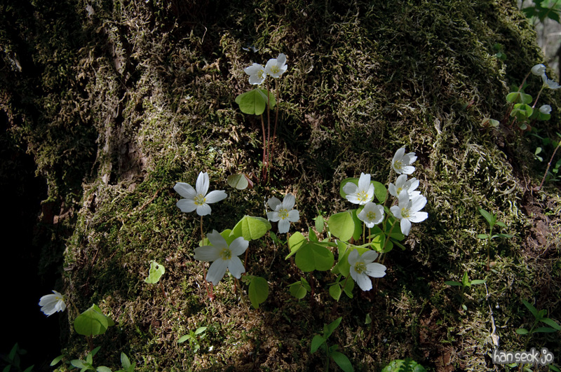 DSC_6330.jpg