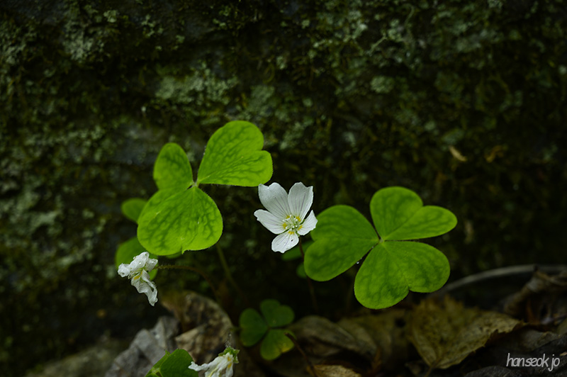 HAN_0399.jpg