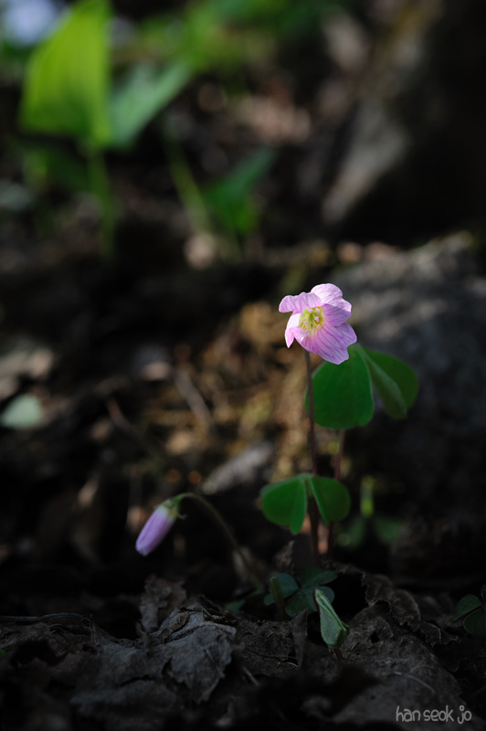 HSJ_2911.jpg