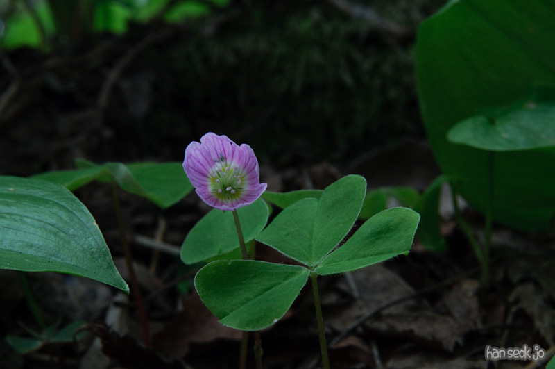 DSC_6549.jpg