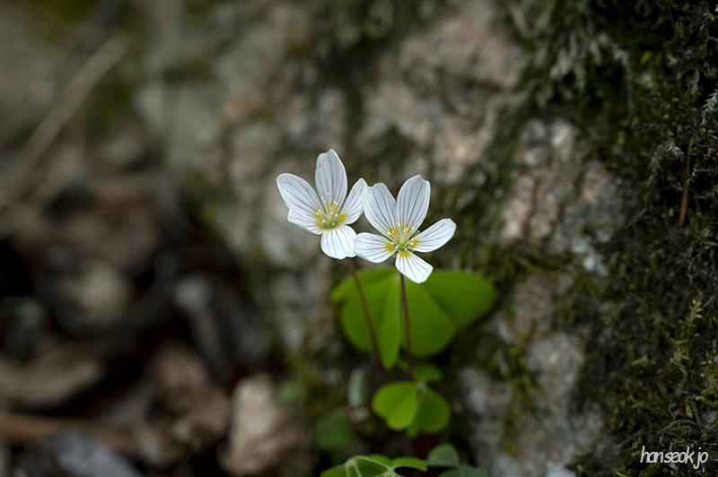 DSC_5166.jpg