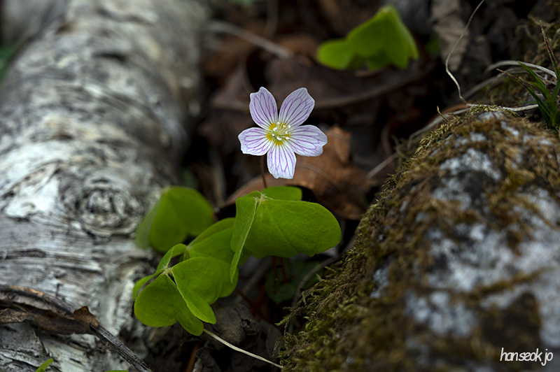 DSC_5174.jpg