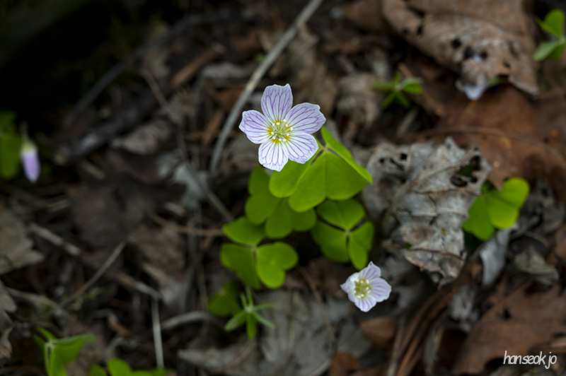 DSC_5173.jpg