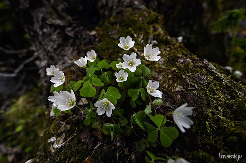 DSC_2540.jpg