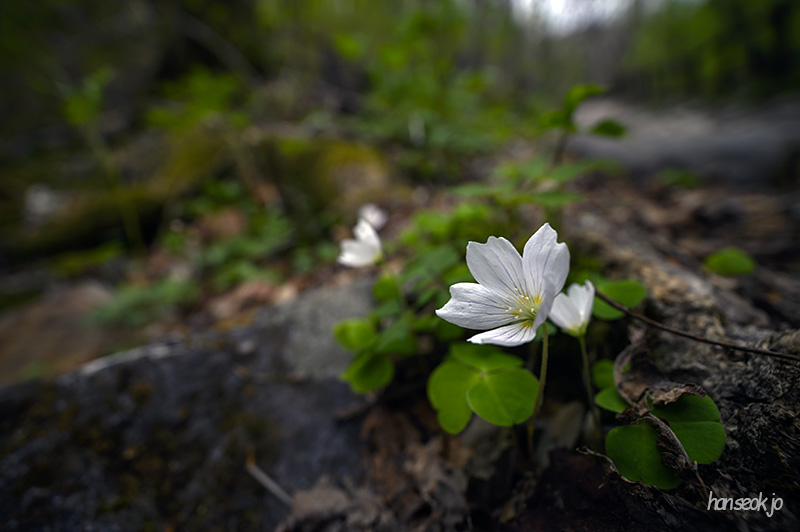 DSC_2527.jpg