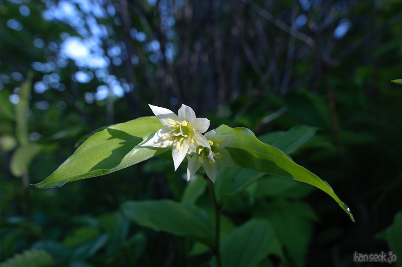 HSJ_9030.jpg