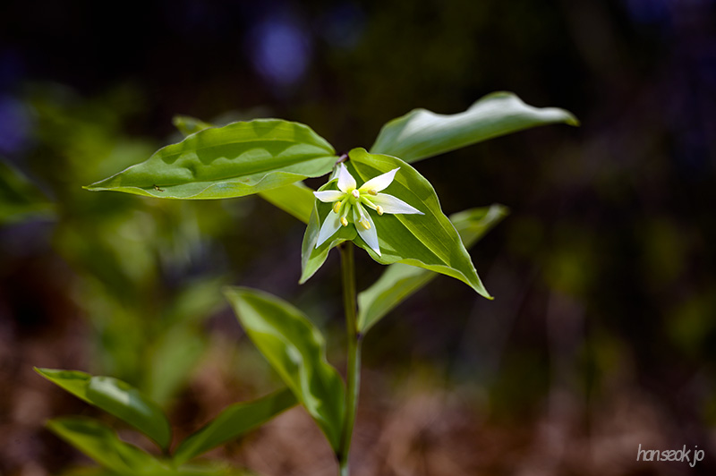 DSC_1940.jpg