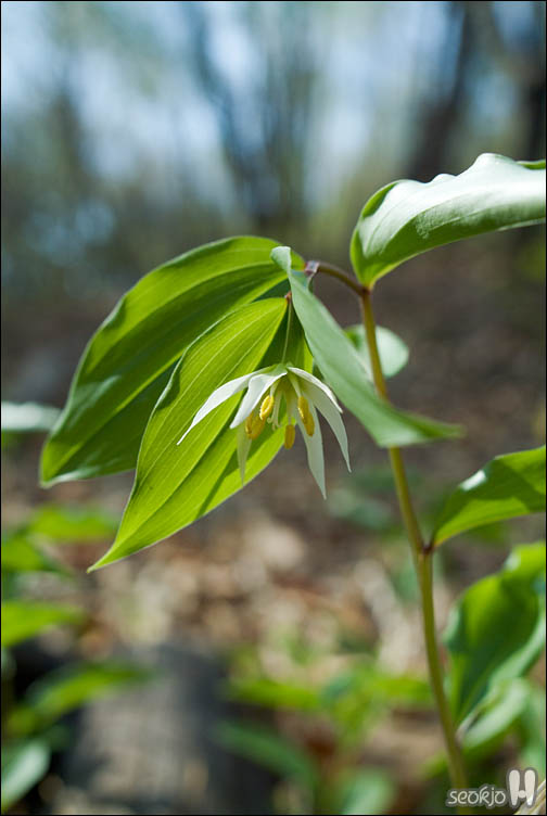 DSCF7538.jpg