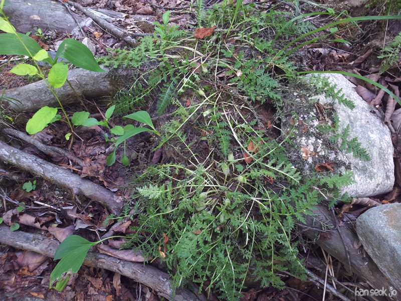 20130602_160134.jpg