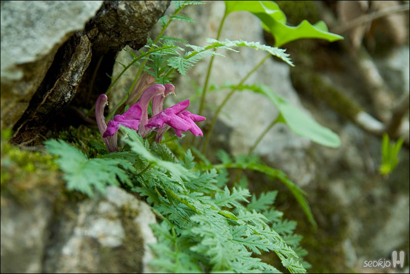 DSCF3463.jpg