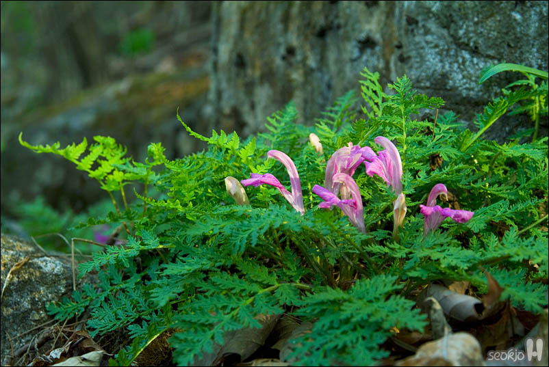DSCF3470.jpg